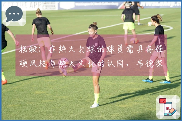 杨毅：在热火打球的球员需具备强硬风格与热火文化的认同，韦德深受球队文化影响