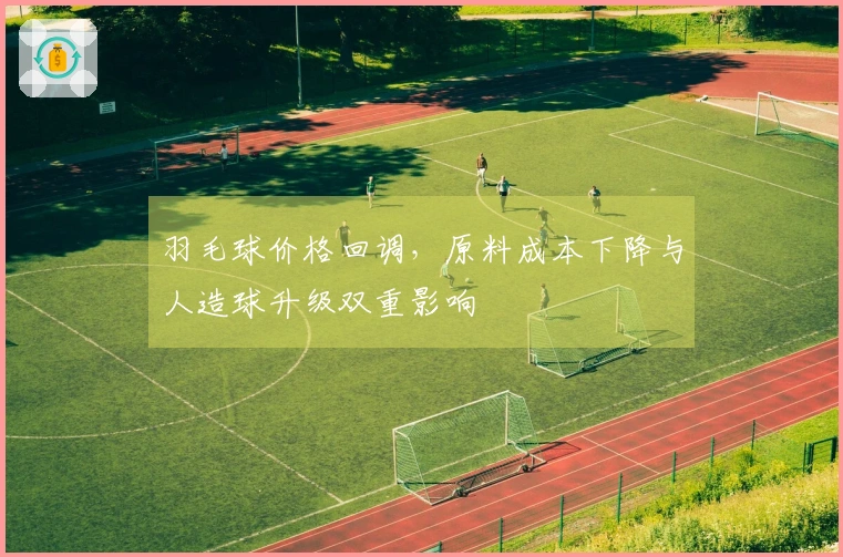 羽毛球价格回调，原料成本下降与人造球升级双重影响